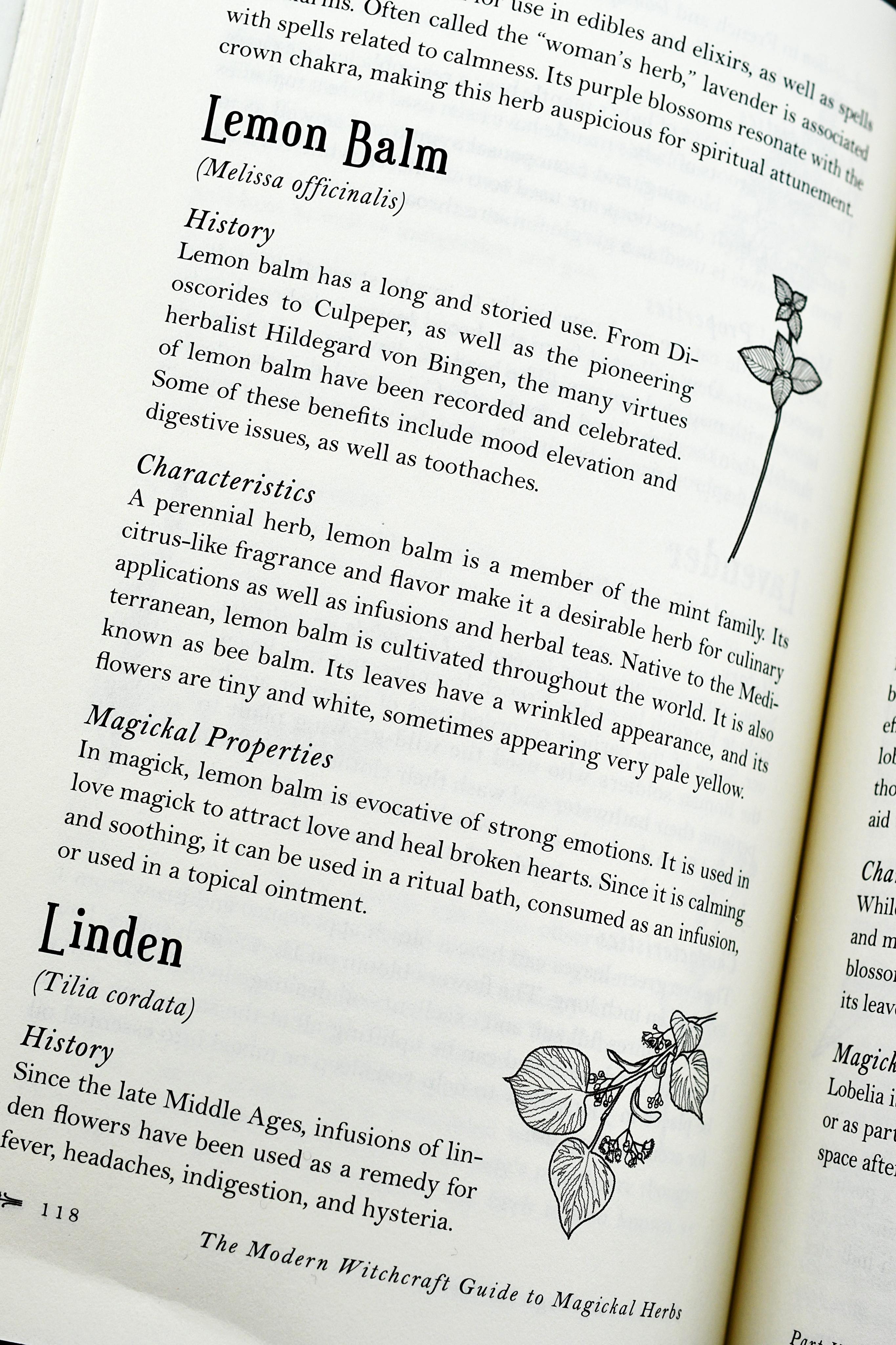 The Modern Witchcraft Guide to Magickal Herbs (Hardcover)