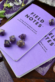 2 Pack - Field Notes 5e Game Master Journals - GAMETEEUK