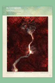 The Witch of Bloodwood Grove- 5e Module Digital Adventure