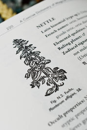 Occult Botany (Hardcover)