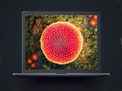 Giant Mushroom Arena - Digital Map