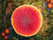 Giant Mushroom Arena - Digital Map