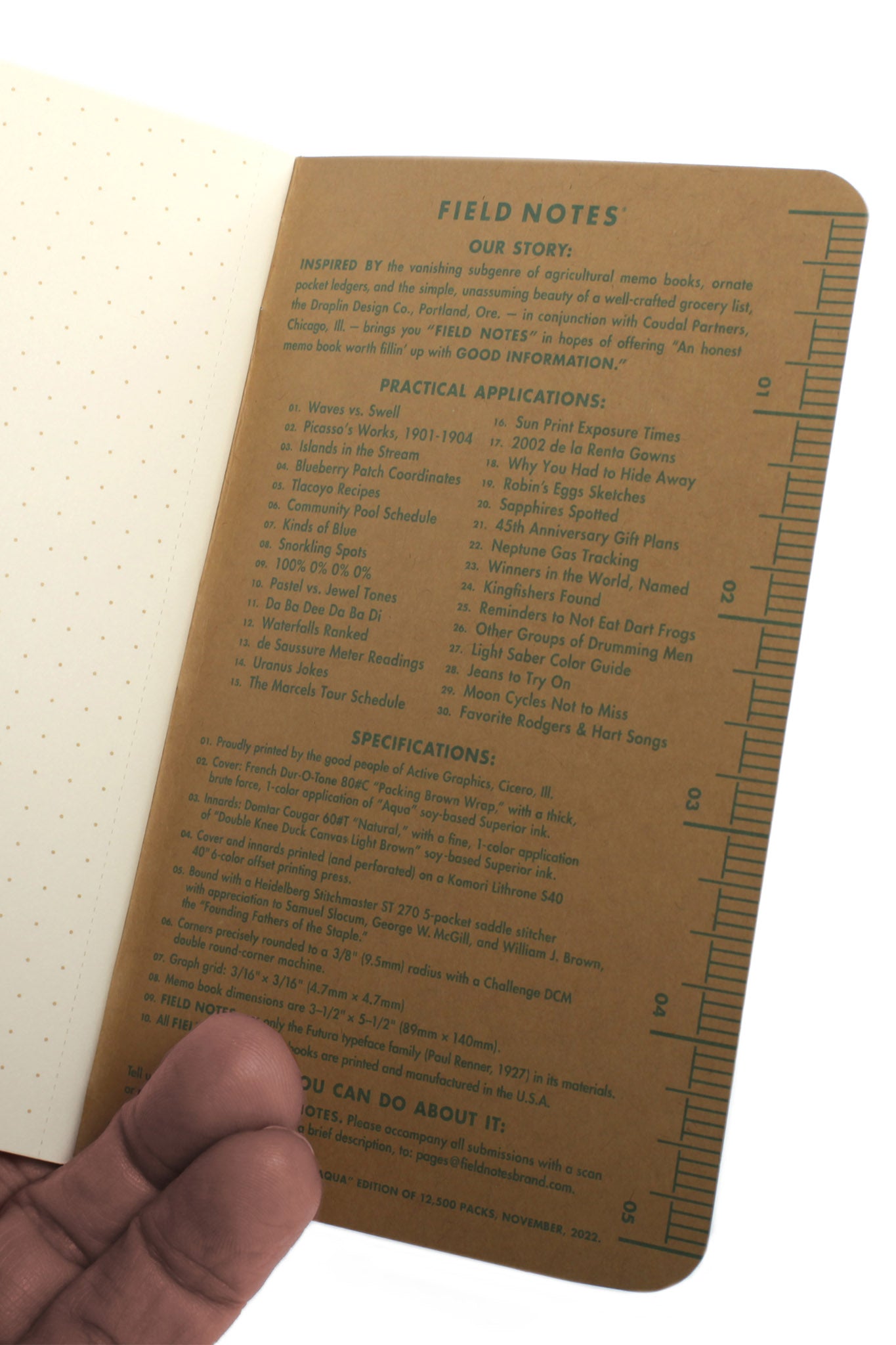 2-Pack Moss Green Kraft Plus Memo Books (Limited Edition)