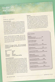 The Wishing Star Plaza- 5e Module Digital Adventure