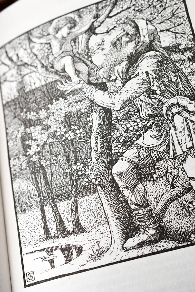 Victorian Fairy Tales (Clothbound Hardcover)