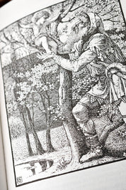 Victorian Fairy Tales (Clothbound Hardcover)