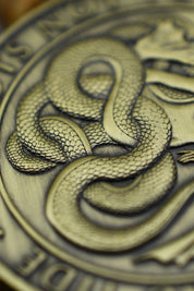 Coin of Fate - GAMETEEUK