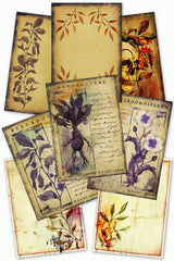Herbalist - Printables Collection - GAMETEEUK