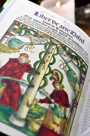 The Witch's Garden - Plants in Folklore, Magic and Traditional Medicine (Hardcover) - GAMETEEUK