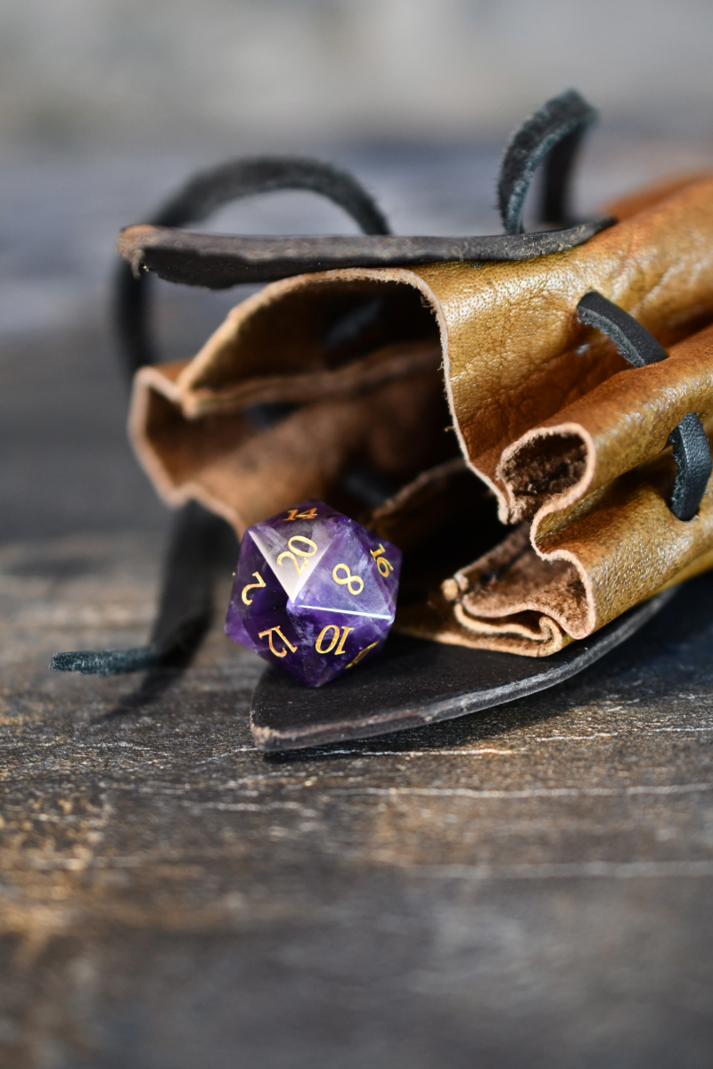 Adventurer's Coin and Dice Pouch