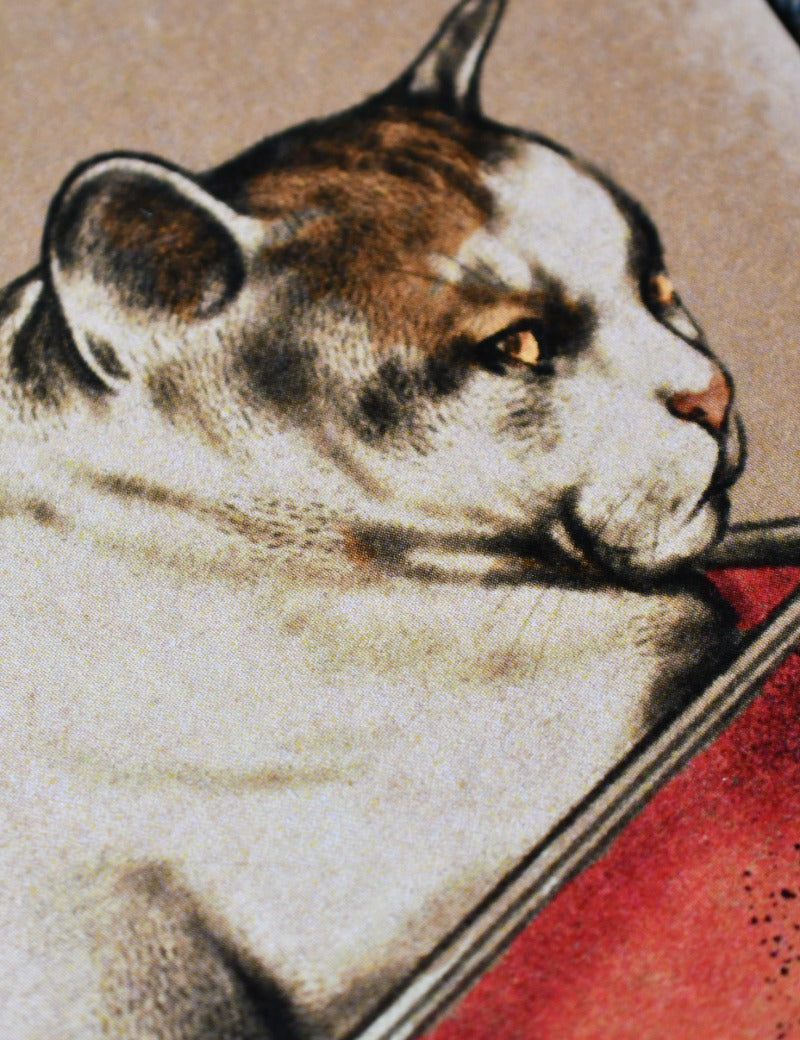 ARTIFICER_CAT_1.jpg