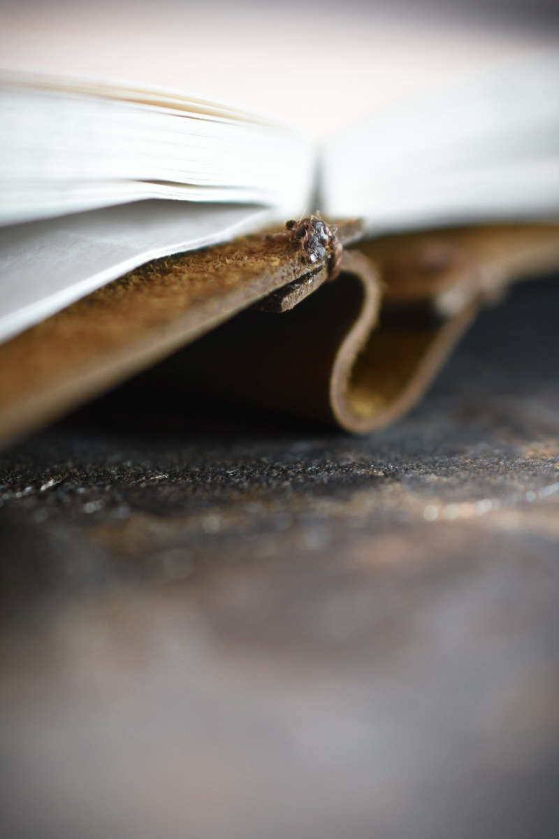 Ashwood A6 Leather Notebook Cover and Notebook - Classic Brown