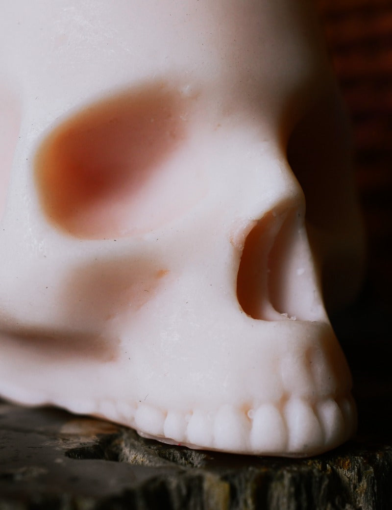 BAKEWELL_SKULL_3.jpg