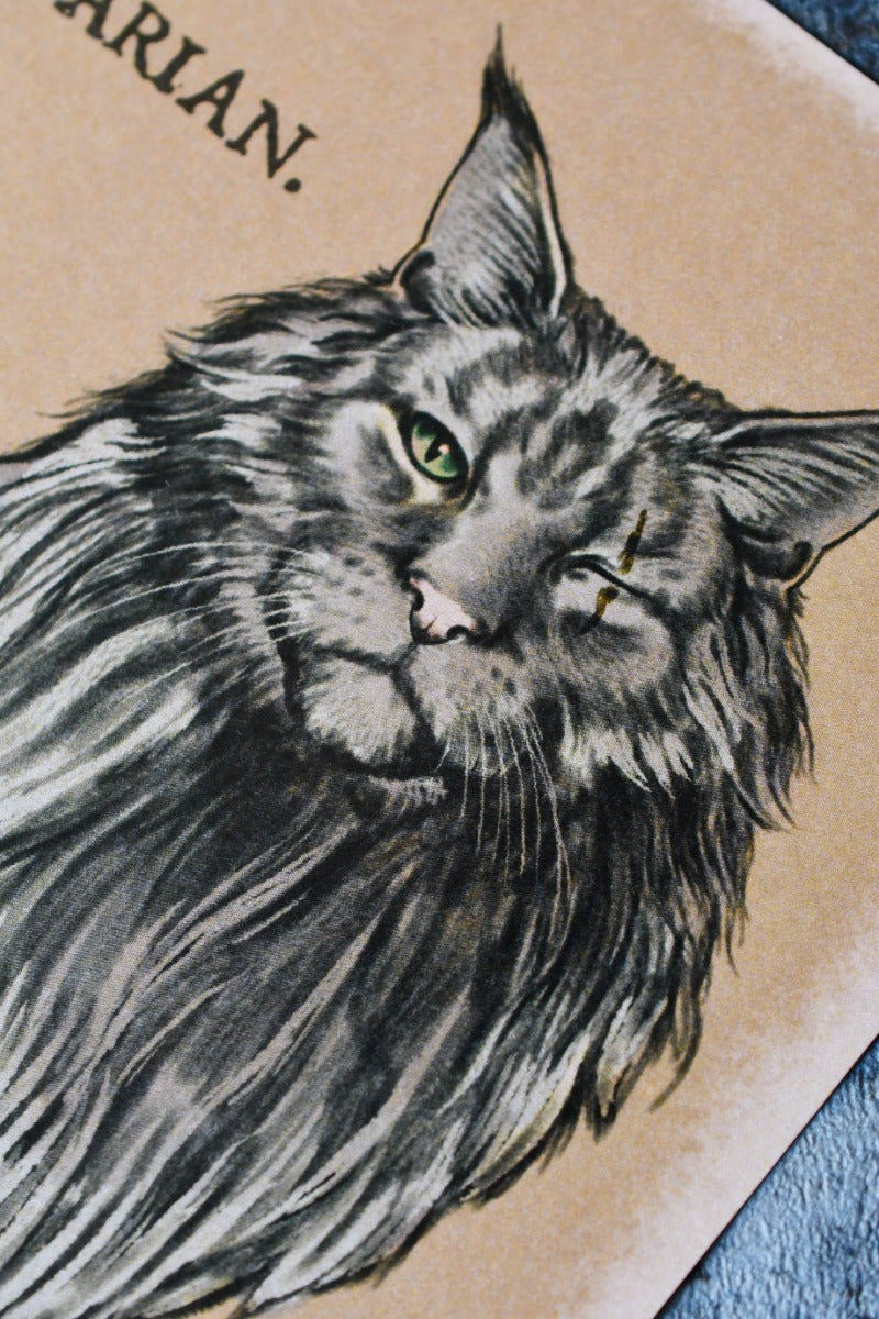 The Barbarian Cat - Art Print