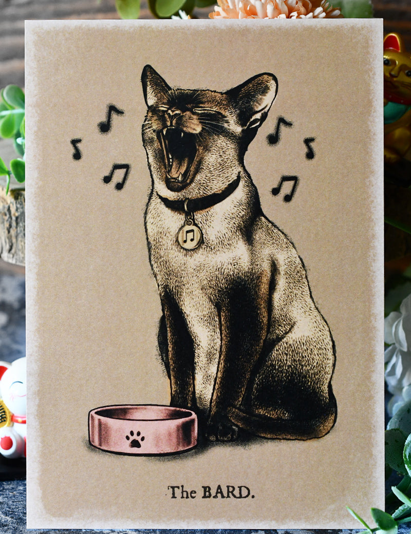 BARD_CAT_1.jpg