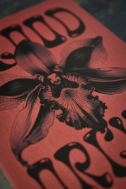 Blood Orchid - 5e Adventure Zine