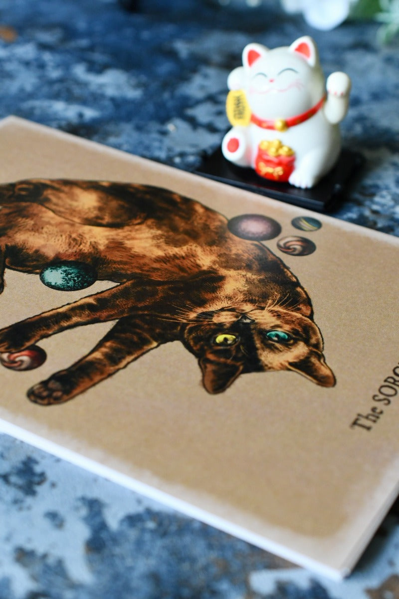 The Cat Classes - Art Print Collection