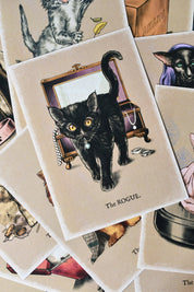 The Cat Classes - Art Print Collection