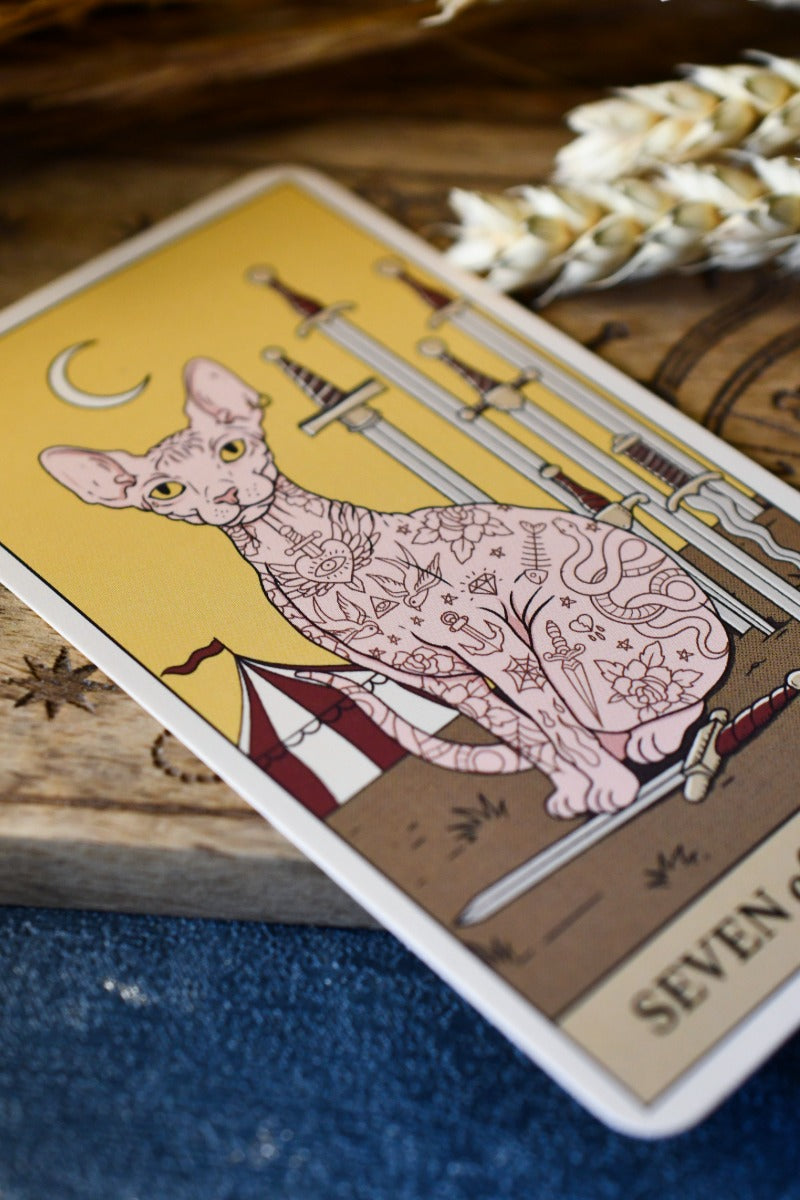 Cats Rule the Earth Tarot and Guidebook - For the Feline Obsessed