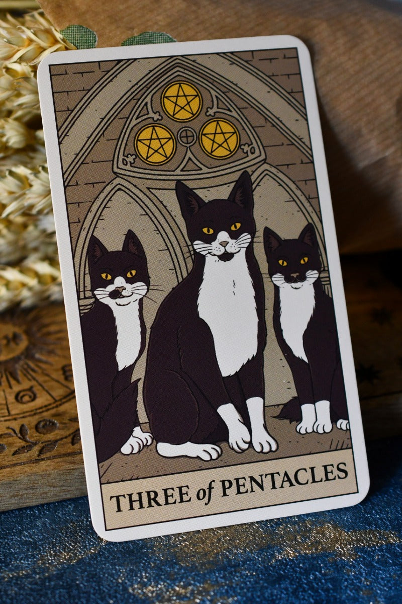 Cats Rule the Earth Tarot and Guidebook - For the Feline Obsessed