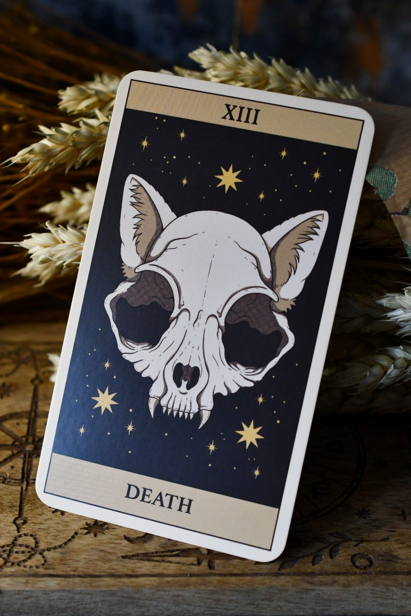 Cats Rule the Earth Tarot and Guidebook - For the Feline Obsessed