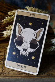 Cats Rule the Earth Tarot and Guidebook - For the Feline Obsessed