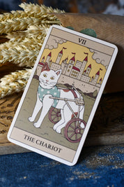 Cats Rule the Earth Tarot and Guidebook - For the Feline Obsessed