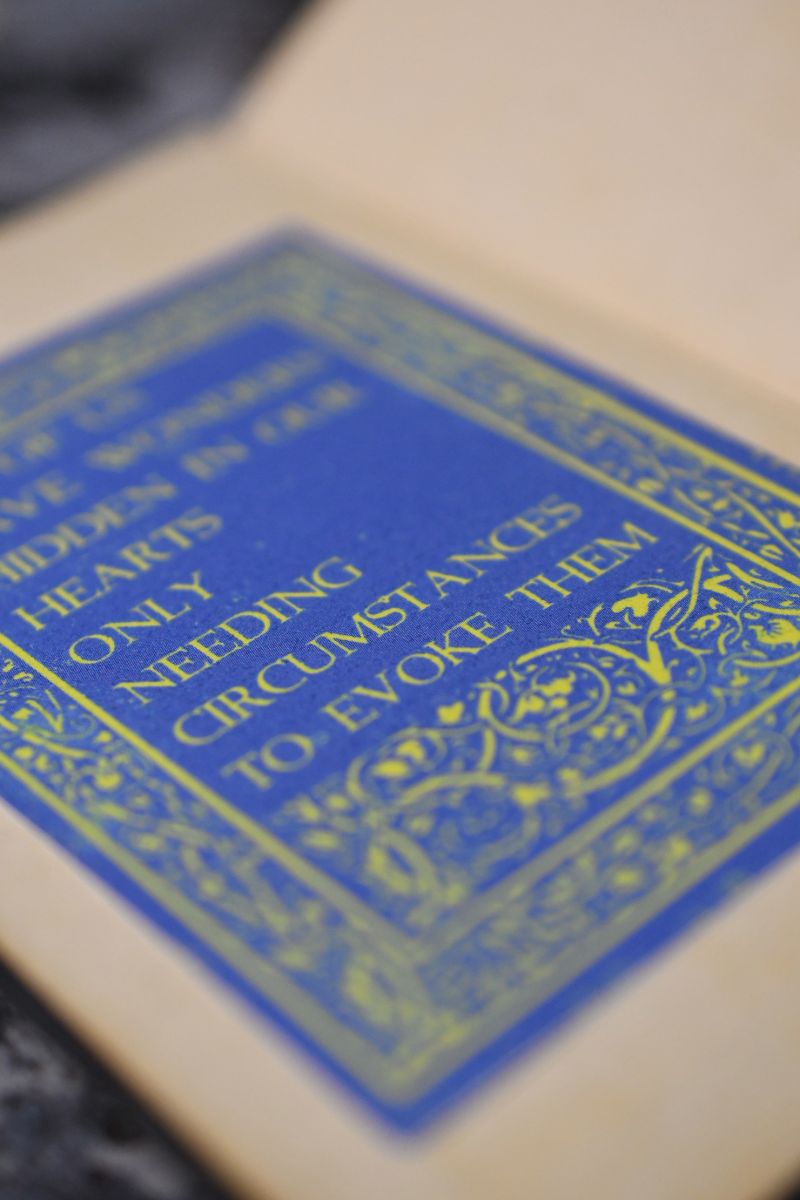 Wonders - Textured Sticker