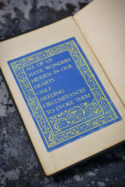 Wonders - Textured Sticker