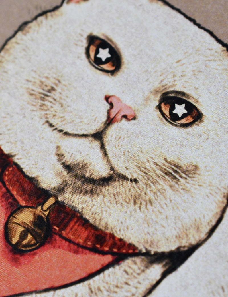 CLERIC_CAT_3.jpg