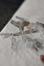 Bourgainviliea and Mugwort - Handmade Lokta Paper Pack A5