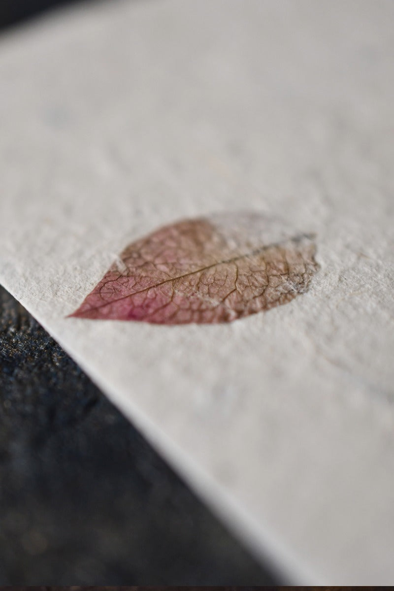 Bourgainviliea and Mugwort - Handmade Lokta Paper Pack A5