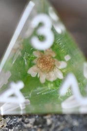 Botanical Specimens - Acrylic Dice Set with Real Flowers