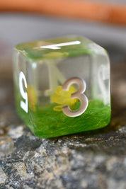 Botanical Specimens - Acrylic Dice Set with Real Flowers