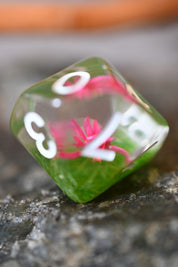 Botanical Specimens - Acrylic Dice Set with Real Flowers
