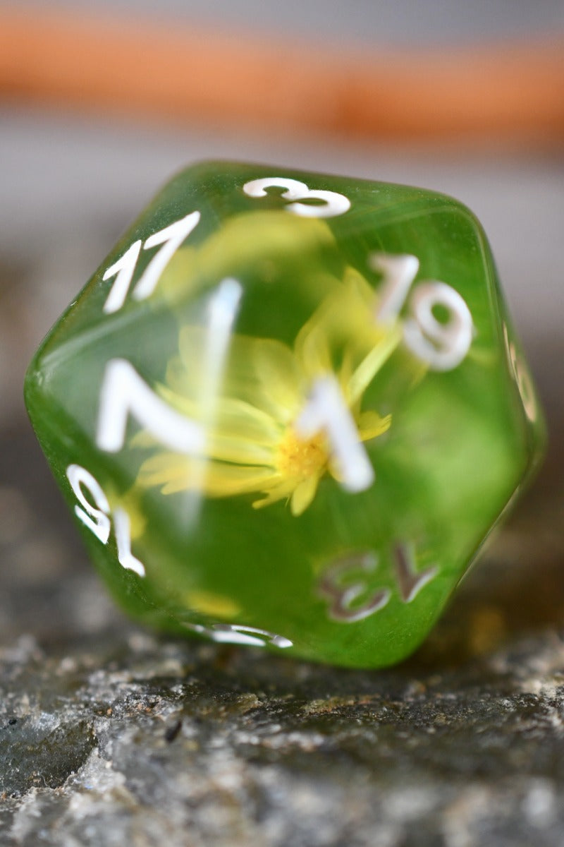 Botanical Specimens - Acrylic Dice Set with Real Flowers
