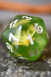 Botanical Specimens - Acrylic Dice Set with Real Flowers