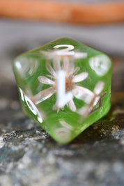 Botanical Specimens - Acrylic Dice Set with Real Flowers
