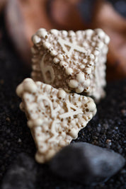 Dice Macabre - Q Workshop Skulls Resin Dice Set