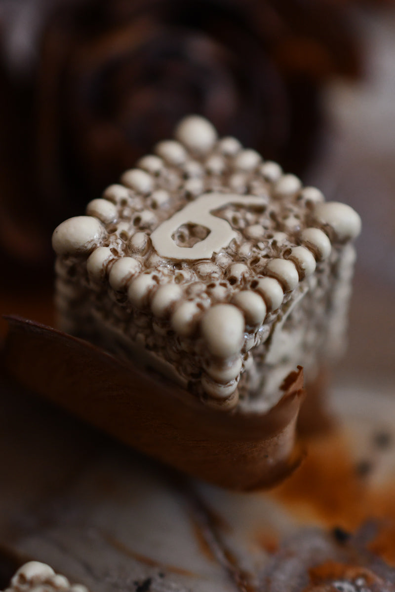 Dice Macabre - Q Workshop Skulls Resin Dice Set