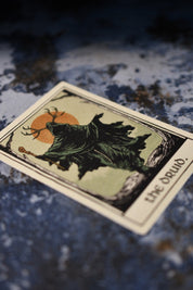 Druid - Tarot Inspired Textured Sticker