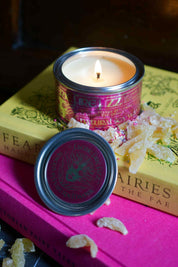 Faerie Fire Fizz - Candle