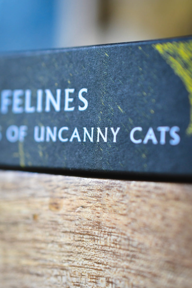 Fiendish Felines: Twisted Tales of Uncanny Cats