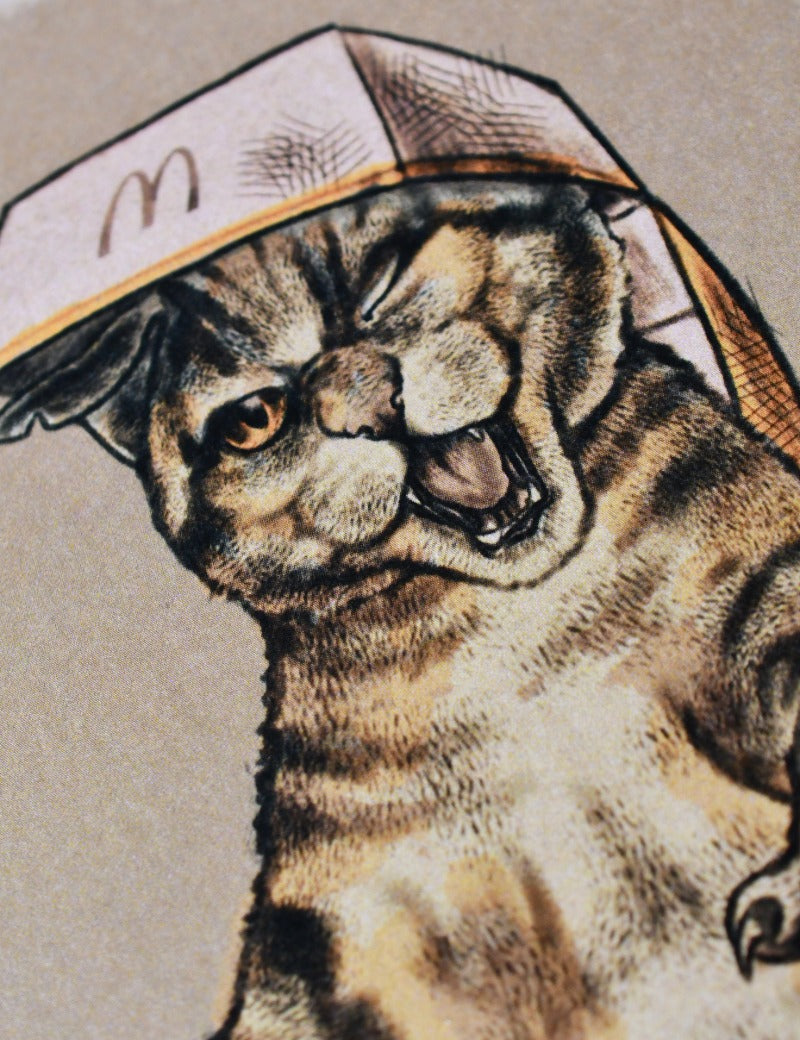FIGHTER_CAT_5.jpg