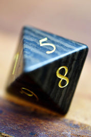 Fossilised Ebony Gemstone Dice Set