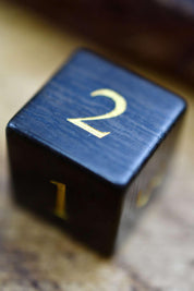 Fossilised Ebony Gemstone Dice Set