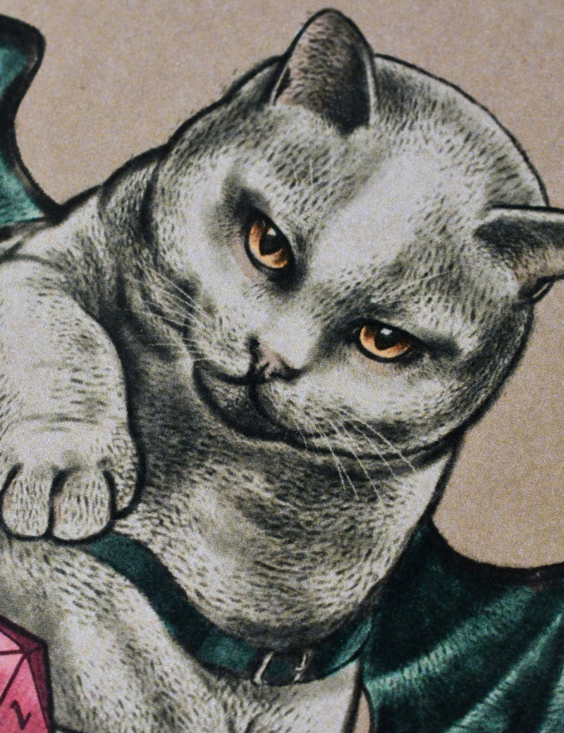 GAMEMASTER_CAT_4.jpg
