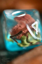Intellect Devourer - Acrylic Dice Set