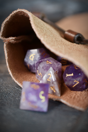 Knight's Extra-Large Coin and Dice Pouch