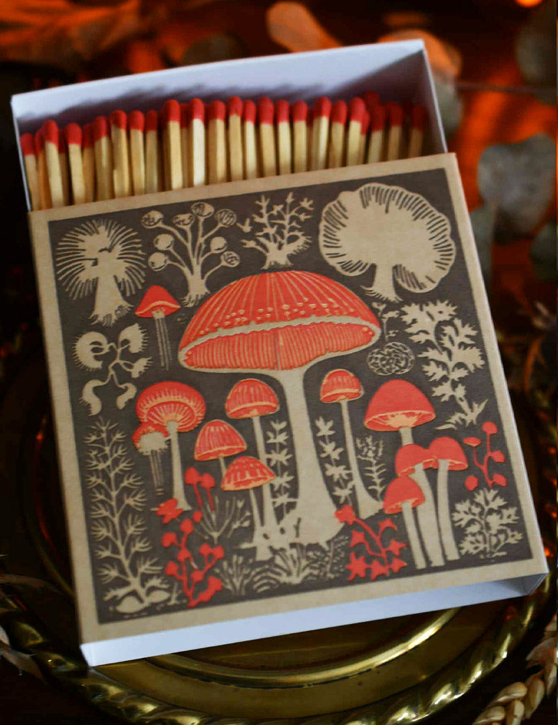 MUSHROOM_MATCHES_1_2956c7f1-171d-4281-a3b2-30a56caade9a.jpg